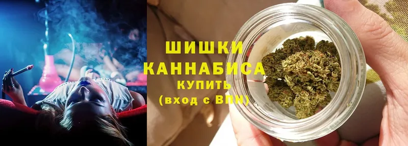 Бошки Шишки Amnesia  Байкальск 